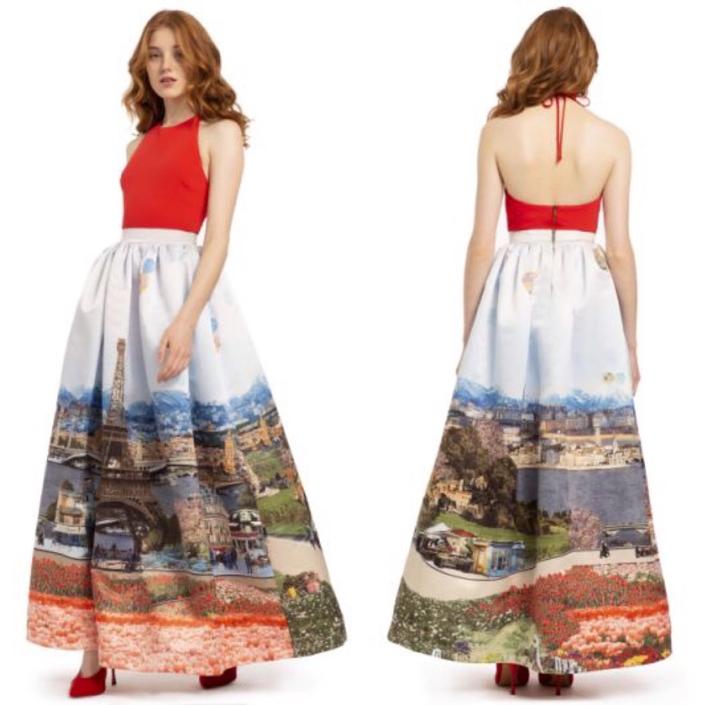 🌺SOLD🌺 Alice + Olivia Tina Paris Ball Gown Skirt